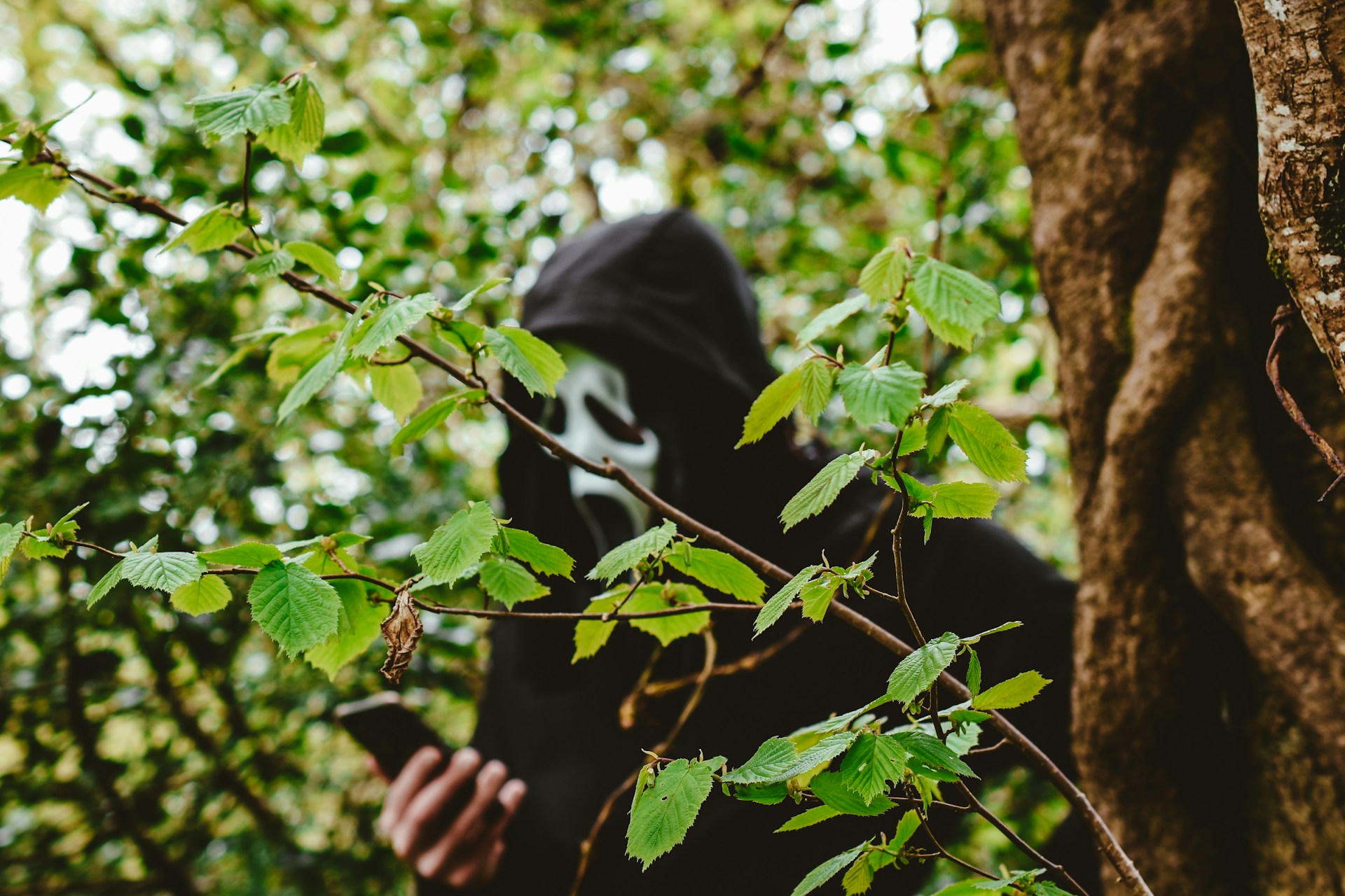 Ghostface hides behind the trees, scrolling through their phone